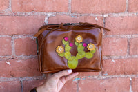 Cactus Mini Mule