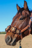 Floral Bronc Halter