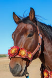 Floral Bronc Halter